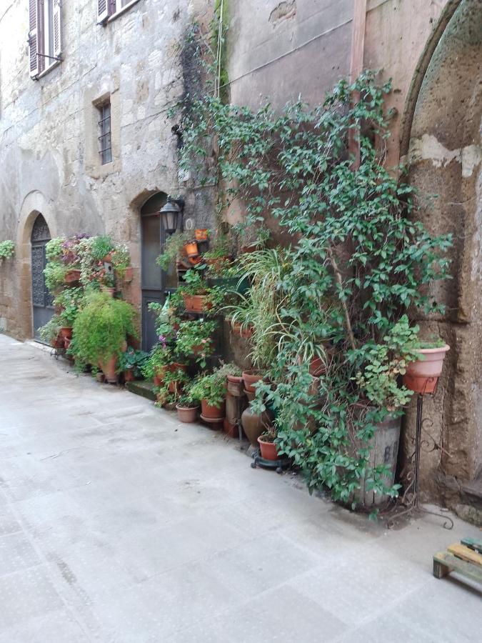 La Casa Di Sally Πιτιλιάνο Εξωτερικό φωτογραφία